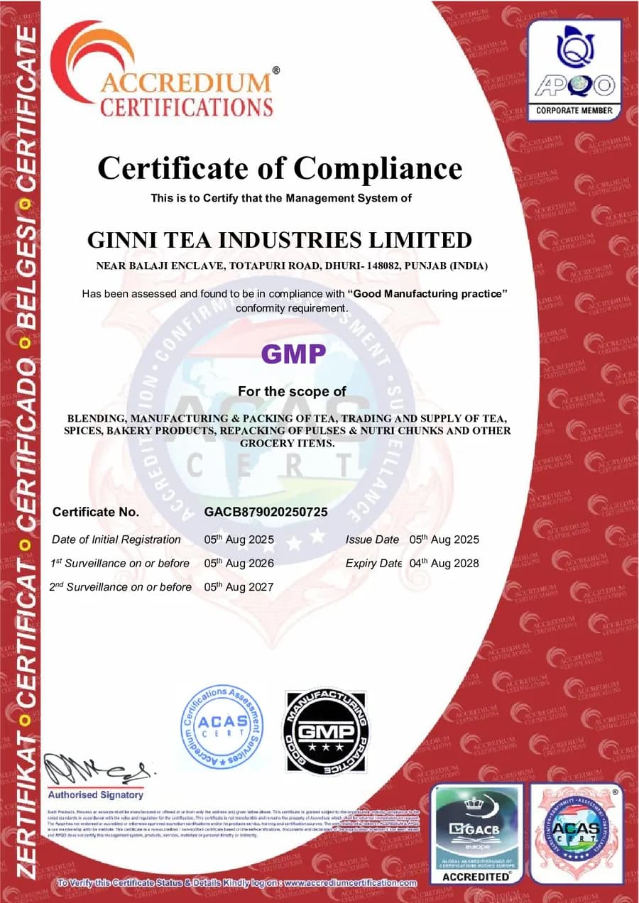 GMP document preview